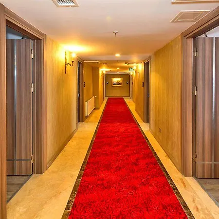 Hotel Dab 4*