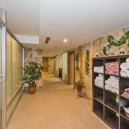 Dab Hotel