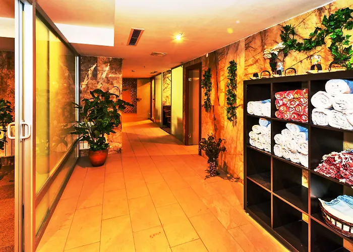 黛博酒店 4* 伊斯坦布尔