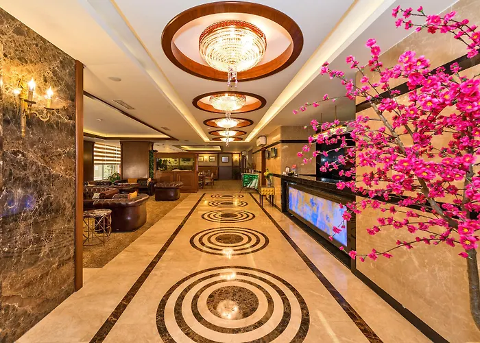 黛博酒店 酒店 4*